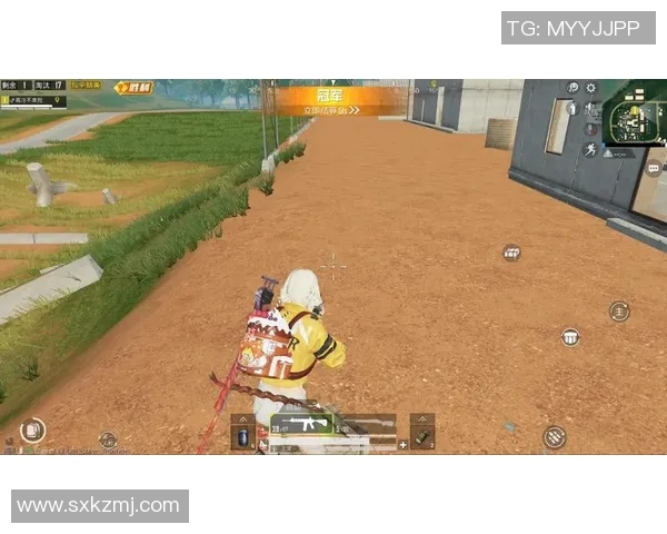 深度探讨陈秀英在和平精英中的成长与人生哲学 深度探讨陈秀英在和平精英中的成长与人生哲学