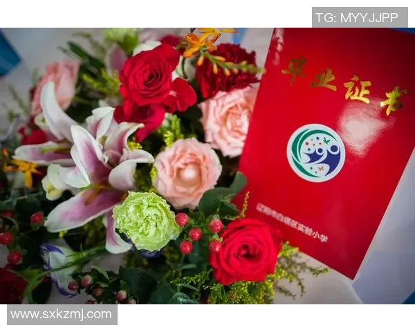 与杨敏畅谈英雄联盟职业生涯的点滴与成长之路 与杨敏畅谈英雄联盟职业生涯的点滴与成长之路